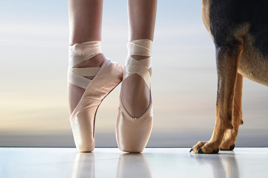 Shall We Dance - On Pointe Photograph by Laura Fasulo
