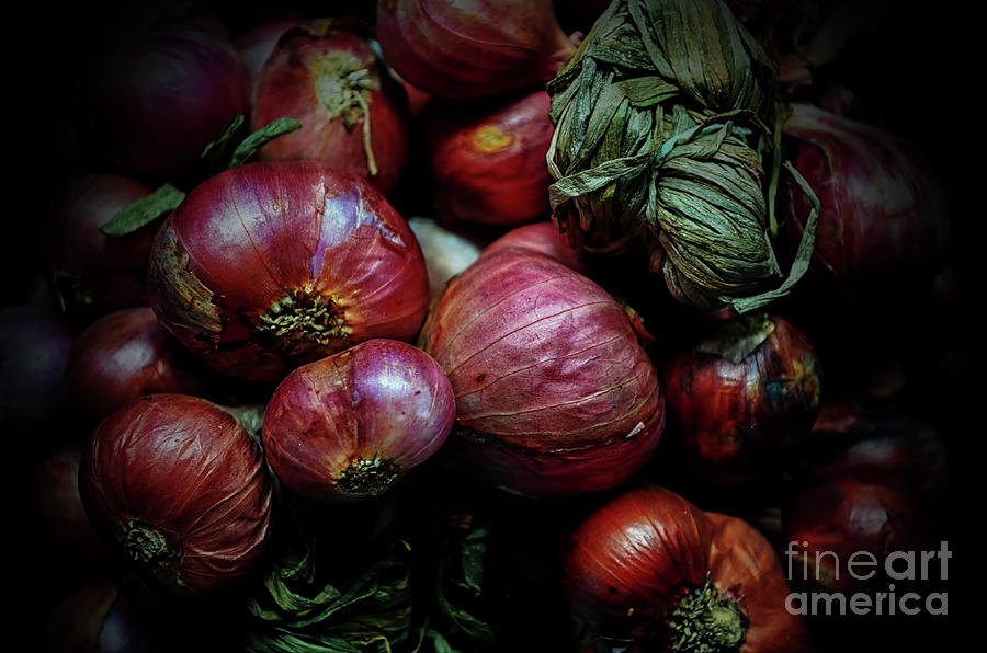 Shallots Photograph by Michelle Meenawong