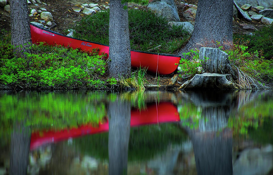 Shallow Pond Deep Reflection Photograph