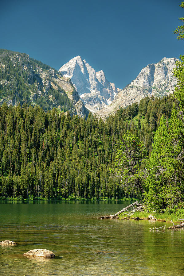 Shallow Water of the outlet from Bradley Lake in Grand Teton Nat Photograph by Kelly VanDellen