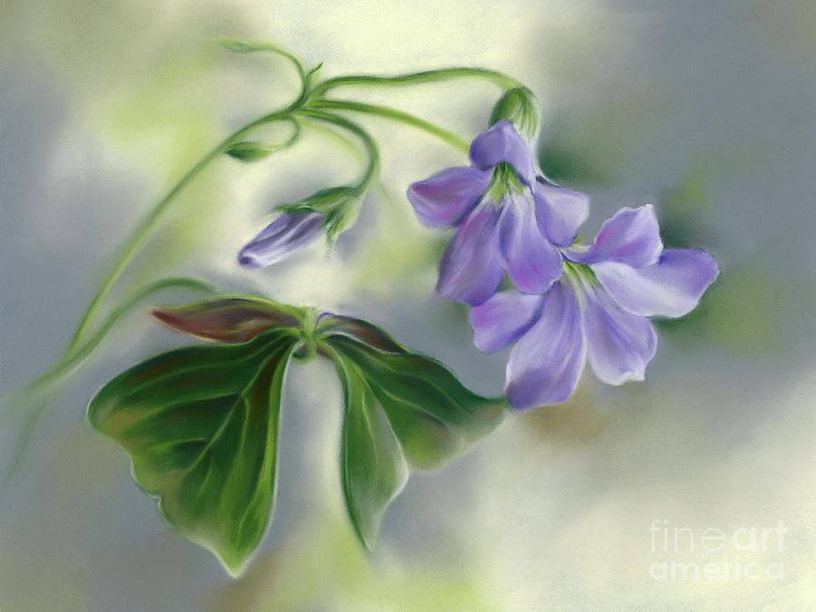 Shamrock Flowers and Foliage Painting by MM Anderson
