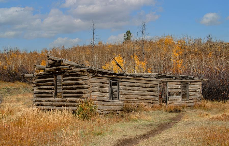 Shane Cabin in Late Fall, Wyoming Photograph by Marcy Wielfaert