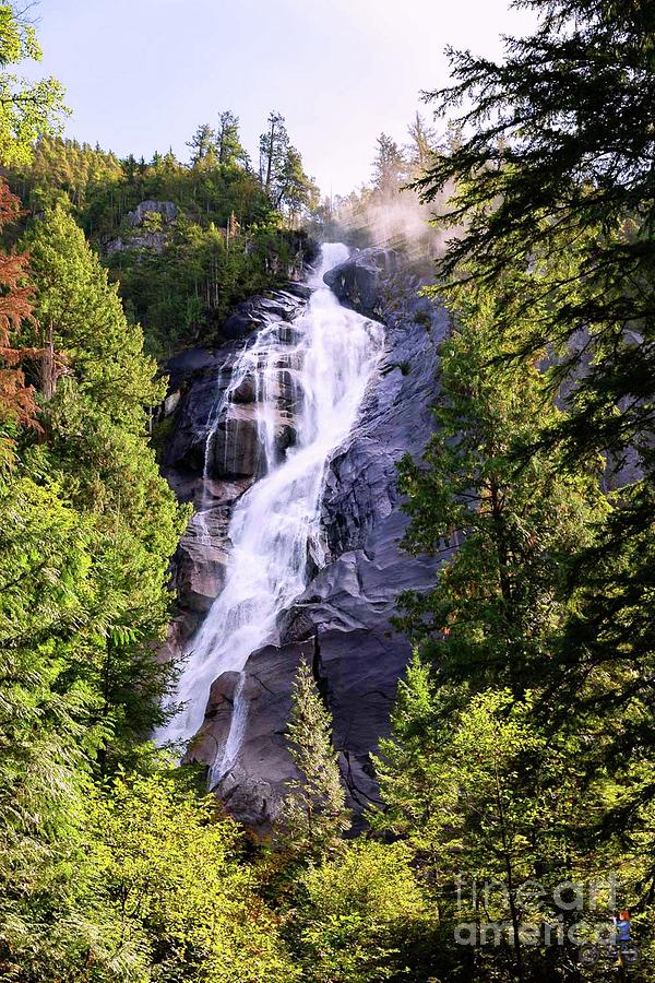 Shannon Falls Photograph by John Lyes