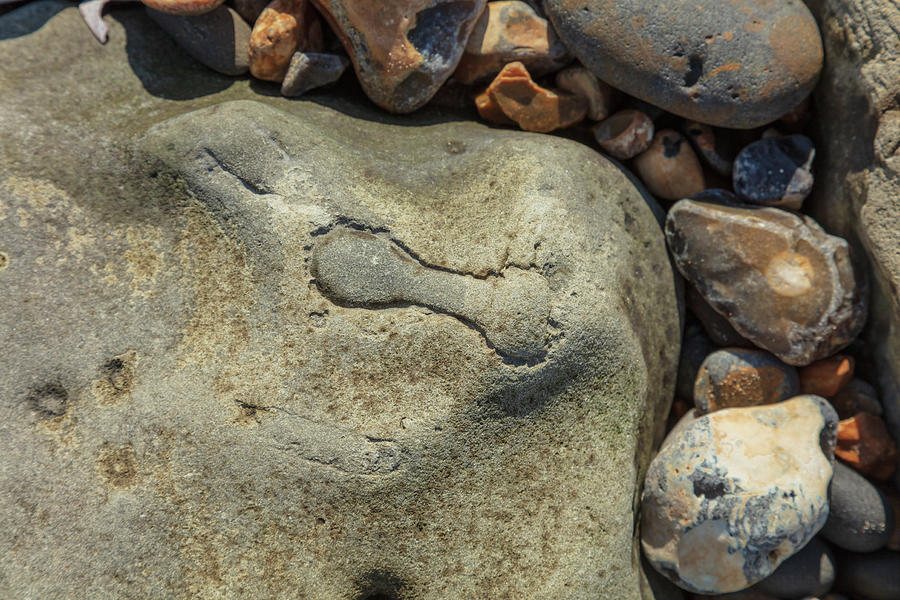 Shape in pebbles Photograph by Richard Donovan