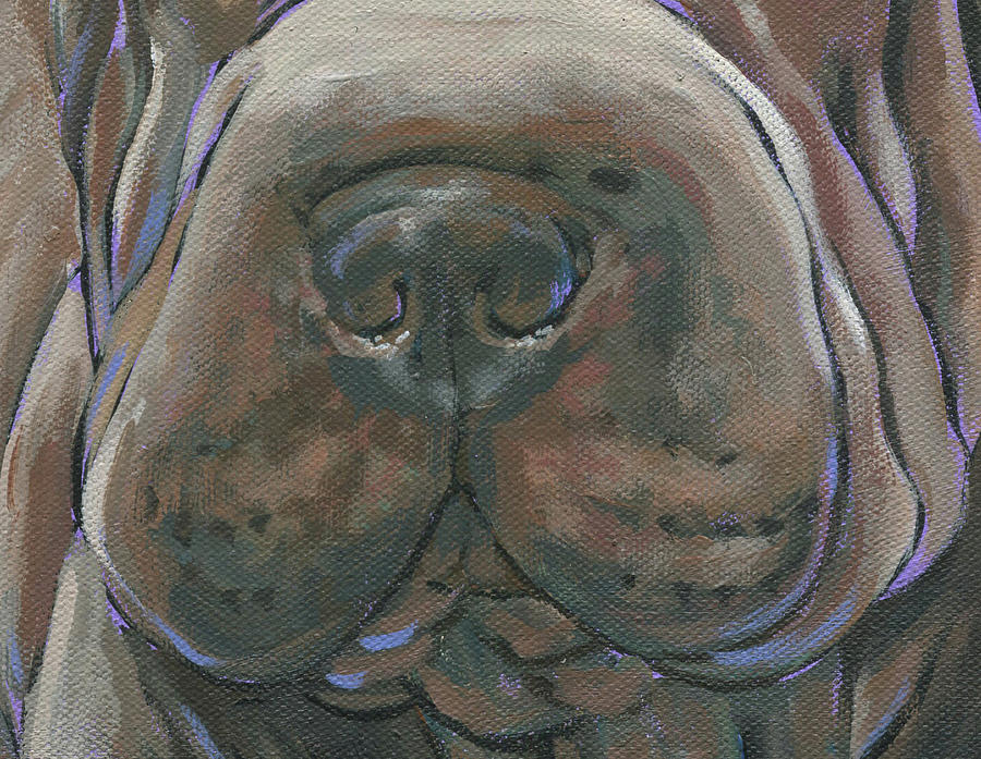 Shar Pei Mask Painting by Nadi Spencer
