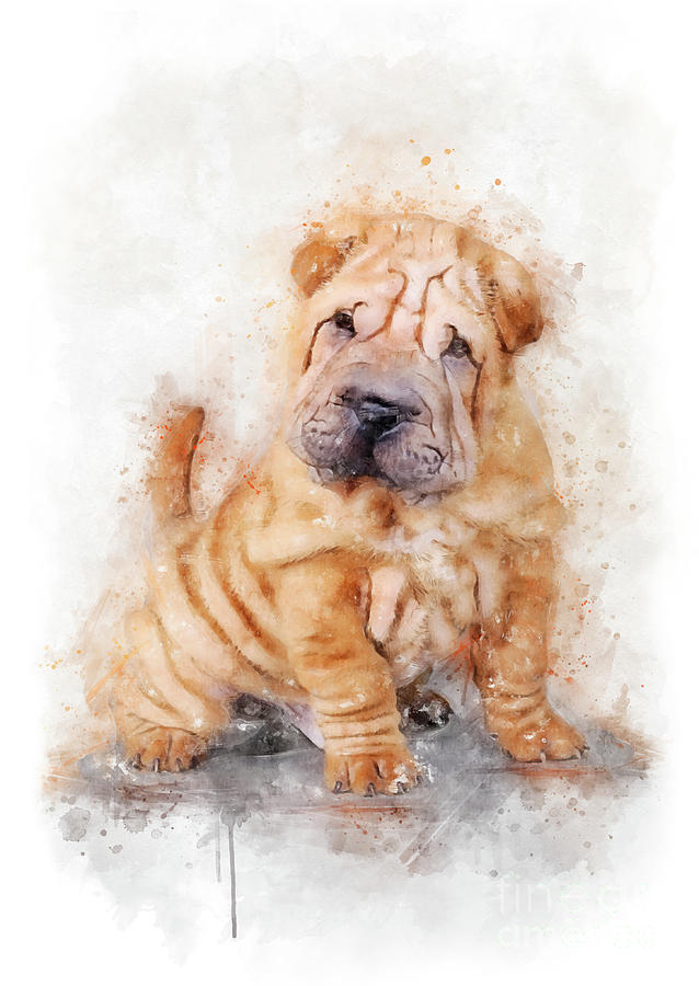 Shar Pei Puppy Watercolor Portrait Mixed Media By Waldek Dabrowski