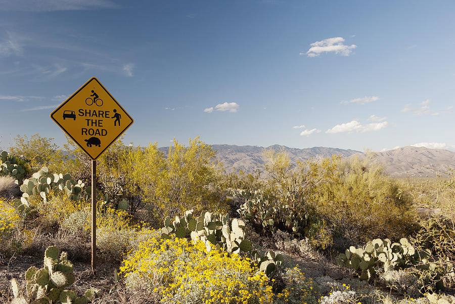 Share the road sign in scenic desert landscape Photograph by PhotoAlto/Jerome Gorin