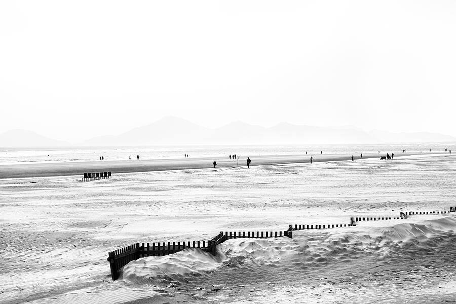 Shared Solitude Photograph by Mia Badenhorst Shared Solitude Photograph by Mia Badenhorst