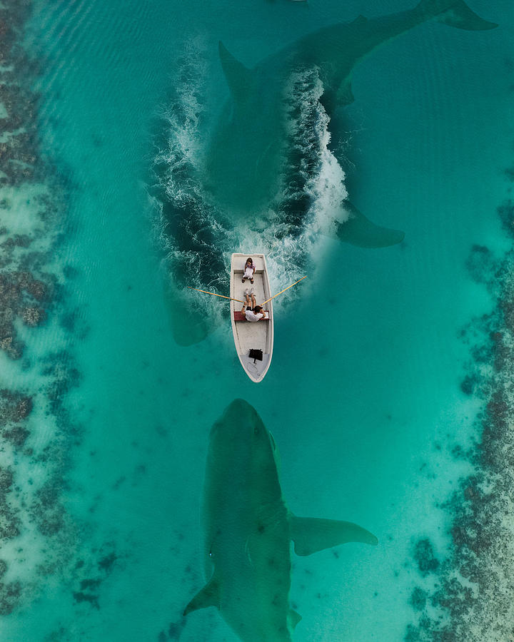 Shark And Boat Travel Surreal Digital Art