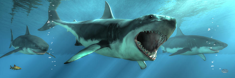 Shark Attack Digital Art