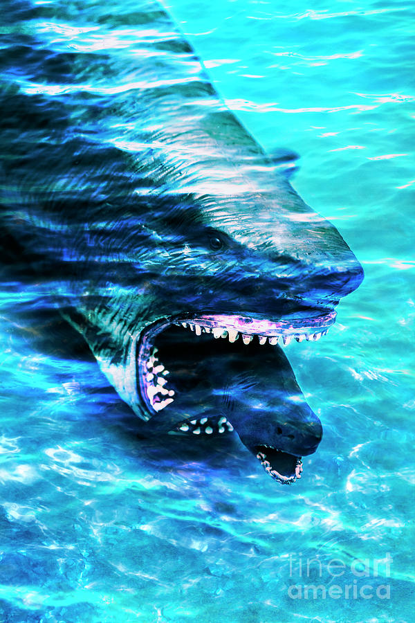 Shark bite Photograph by Jorgo Photography