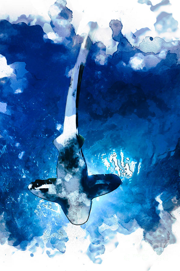 Artist Digital Art - Shark Blue Watercolor Digital Print by Funny4You