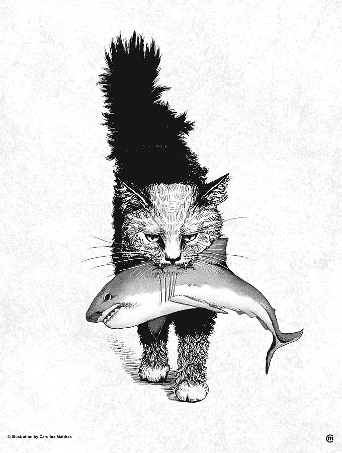 Shark Cat Drawing by Carolina Matthes Pixels