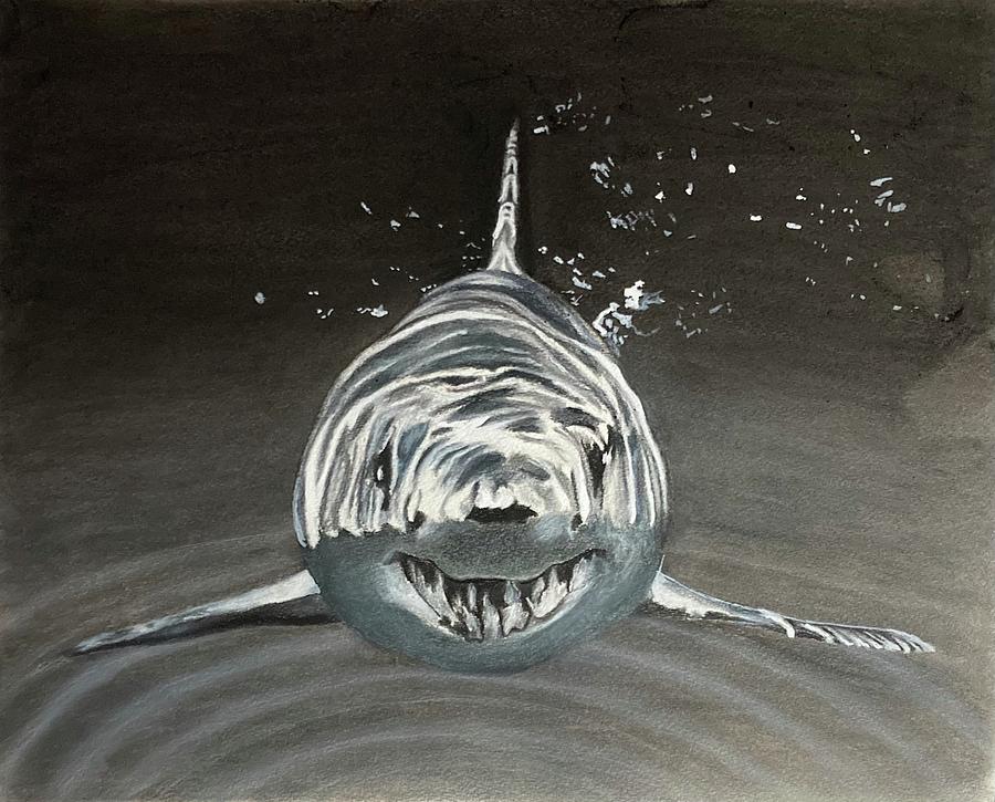 Shark Coming At You Painting by Maris Sherwood