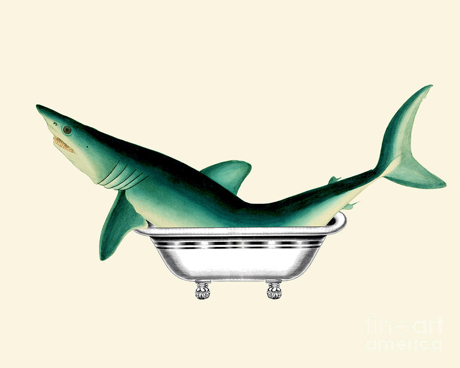 Fish Digital Art - Shark In The Bath by Madame Memento