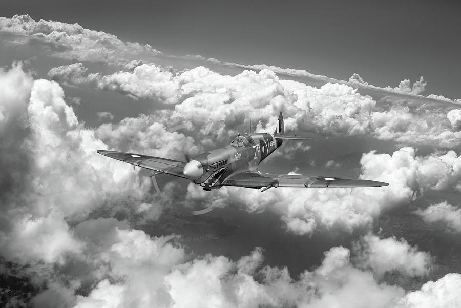 Shark mouth Spitfire BW version Photograph by Gary Eason