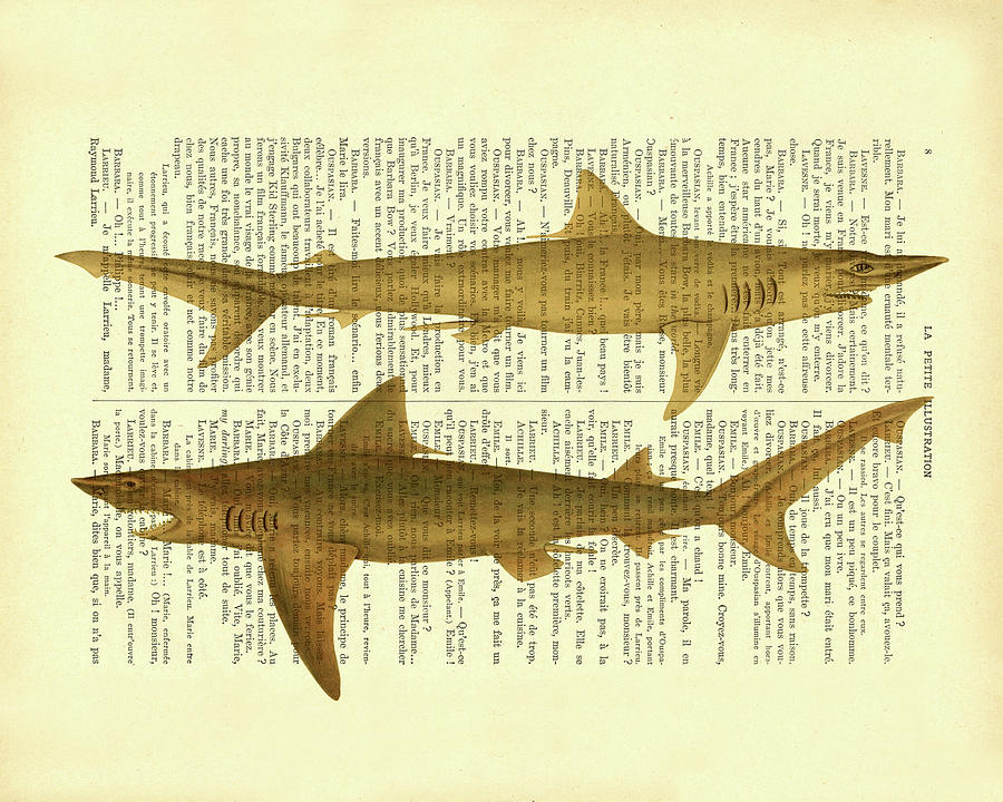 Sharks Digital Art - Shark sealife  art by Madame Memento