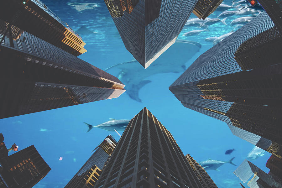 Shark Sky Digital Art by John Vincent Palozzi
