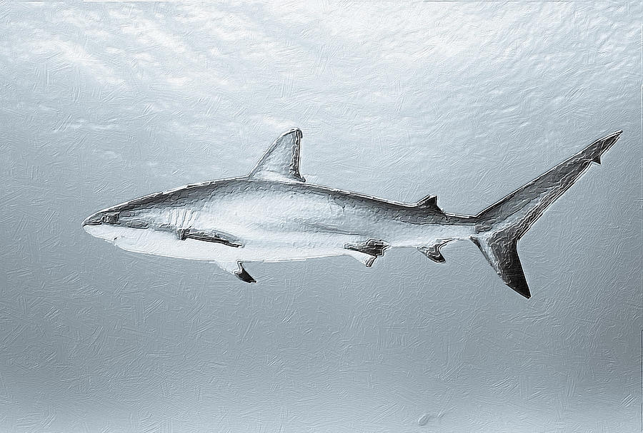 Shark Painting by Tony Rubino