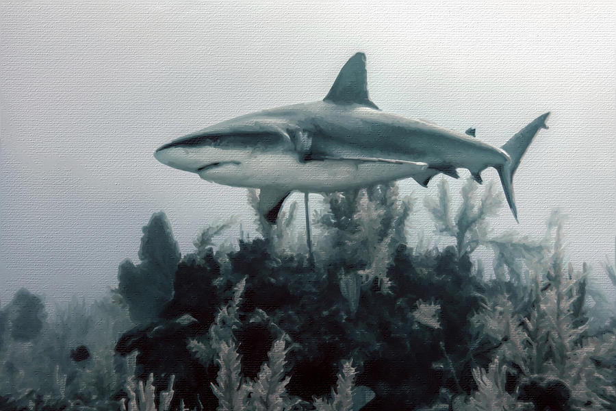 Shark Under Water Painting by Tony Rubino
