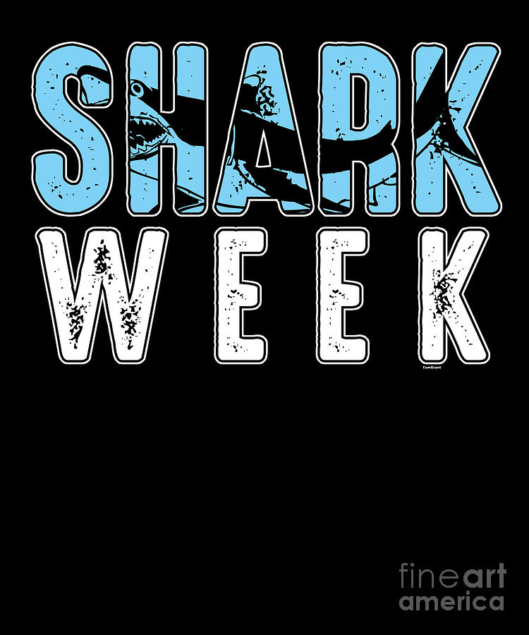 Sharks Digital Art - Shark Week Aquamarine Marine Life Water Sea Ocean Sharks Family Sea Creatures Gift by Thomas Larch