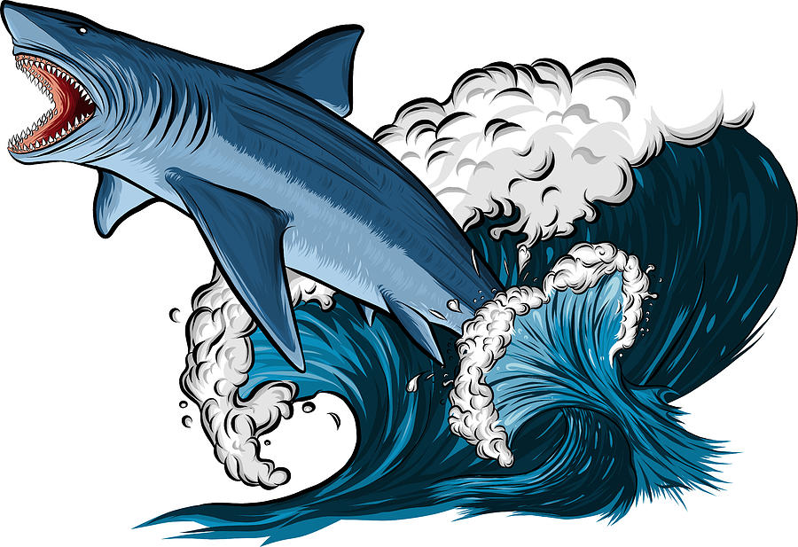 Download Shark with open mouth in the sea. Flat vector illustration ...