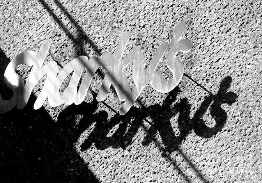Sharkys Shadows Photograph by Sharon Williams Eng