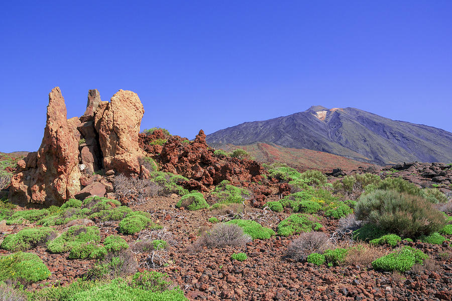 Sharp-edged rocks in front of Mount Teide Photograph by Sun Travels