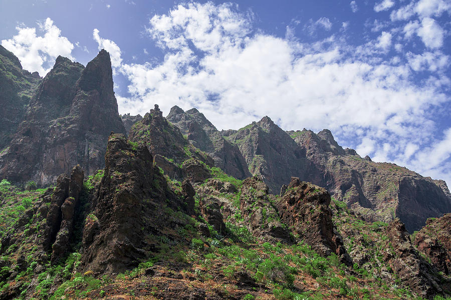 Sharp rocks in the Teno massif Photograph by Sun Travels
