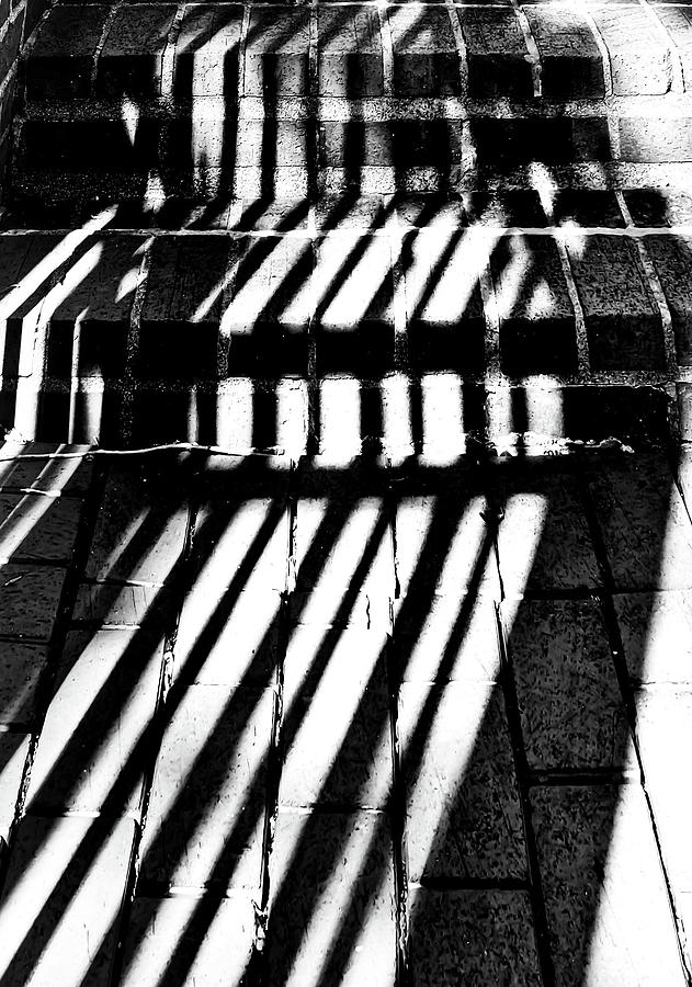 Sharp Shadows Photograph By Sharon Williams Eng Fine Art America 3439