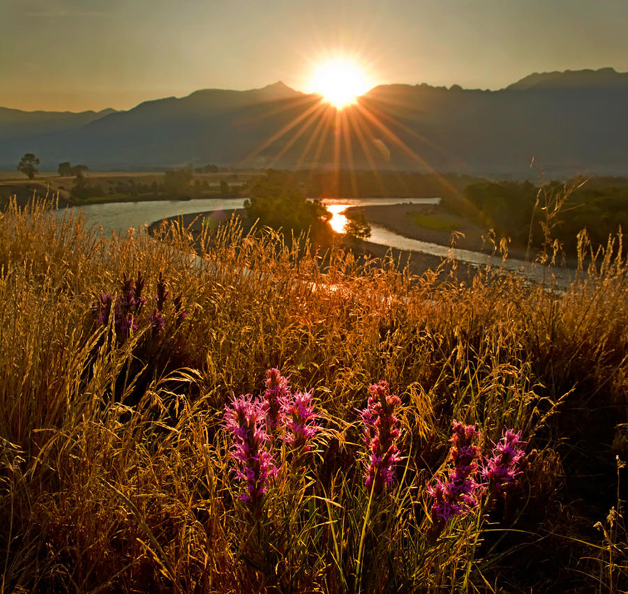 Sunrise Photograph - Shasta River Sunrise by Randall Branham