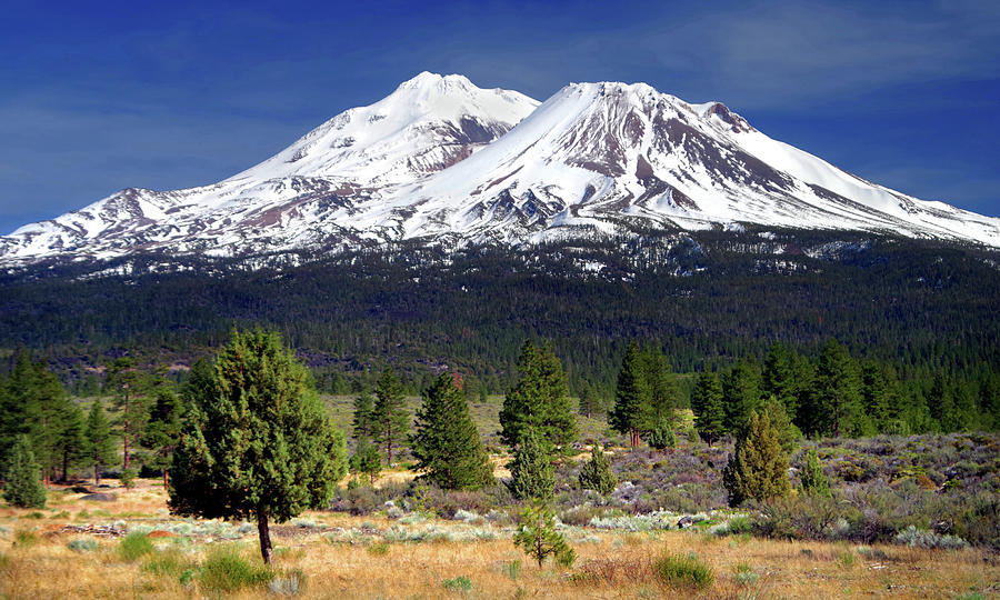 Shasta Spring Mural Photograph By Douglas Taylor - Pixels