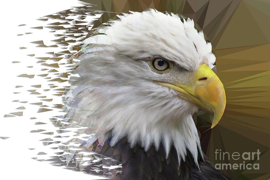 Eagle Photograph - Shattered Freedom by Melanie Kowasic
