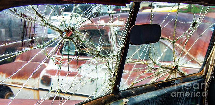 Shattered Photograph by Stephen Whalen