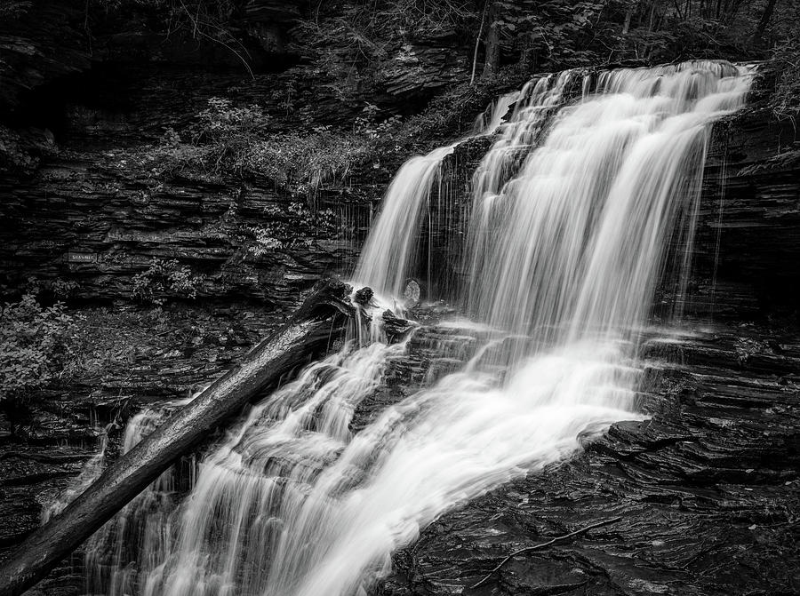 Shawnee Falls Black And White Photograph by Dan Sproul