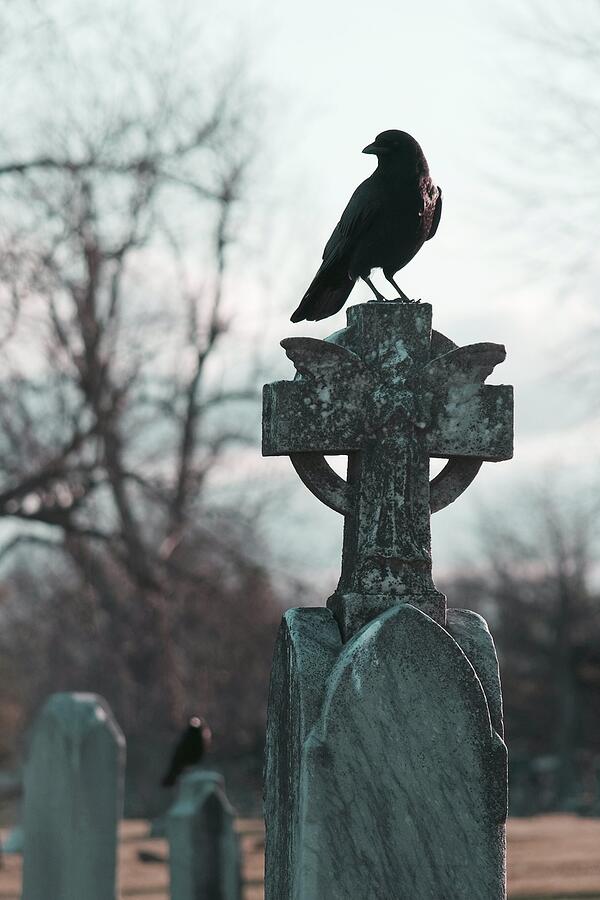 She Fancies The Old Cross Photograph by Gothicrow Images - Fine Art America