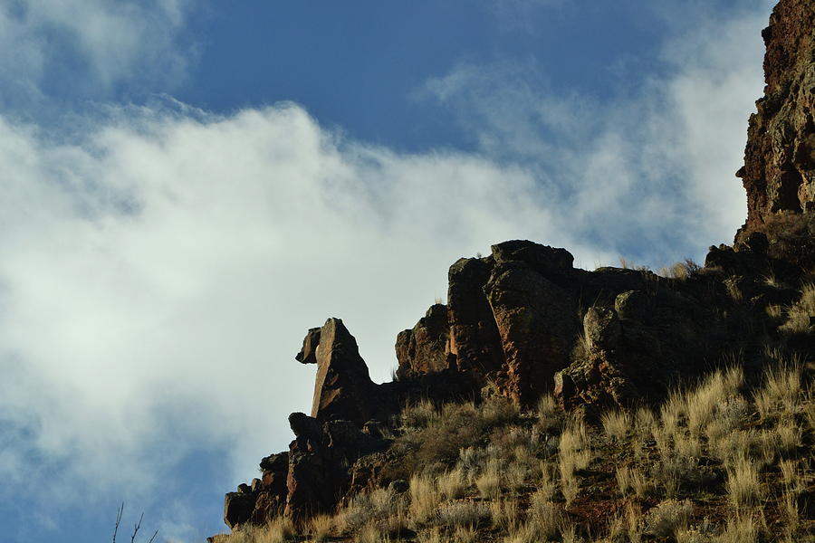 Rock Photograph - She Looks Hungry by YHWHY Vance Rock Photograph - She Looks Hungry by YHWHY Vance