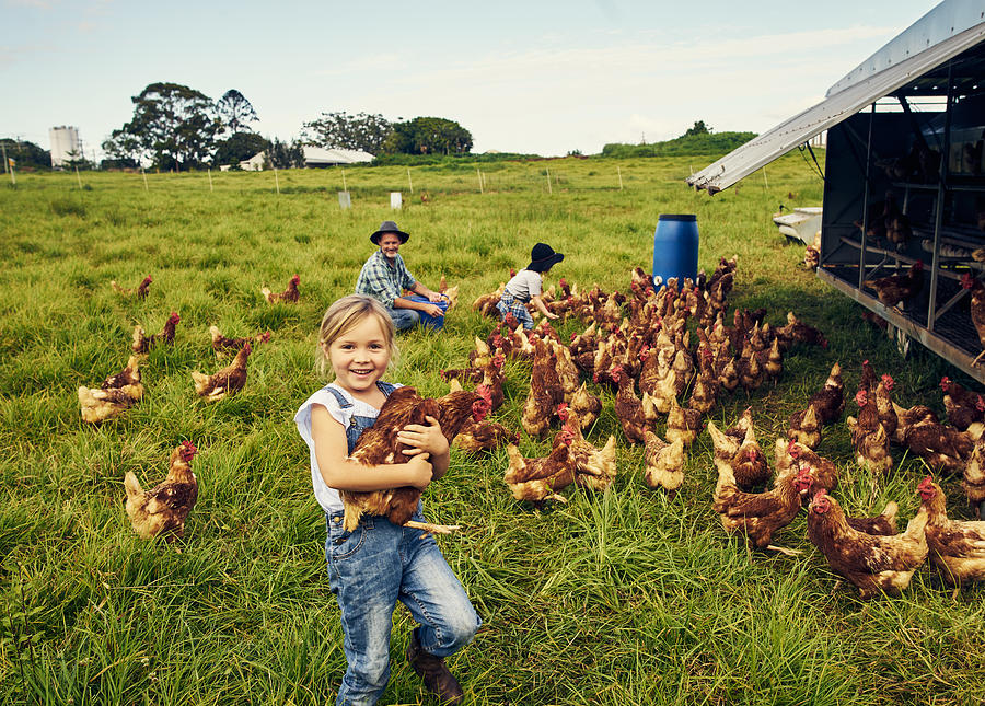 She loves caring for the chickens Photograph by Pixdeluxe