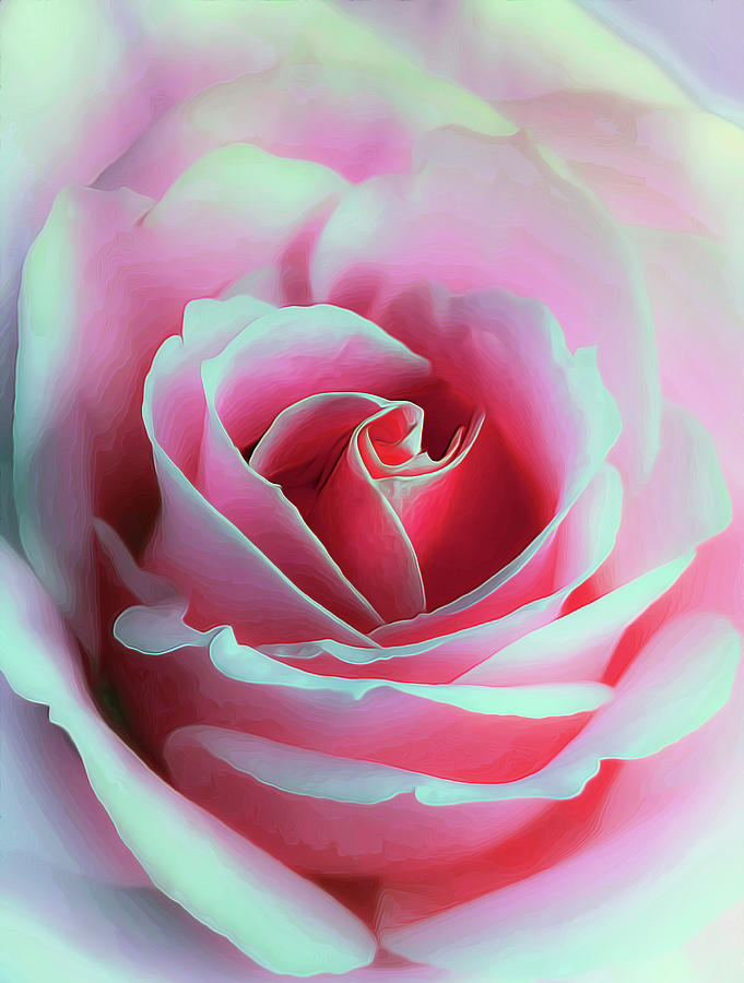 She Opens To Pink Photograph by Bill and Linda Tiepelman