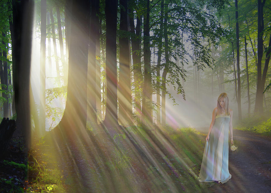She Walks the Forest in the Morning Light  Photograph by Marilyn MacCrakin
