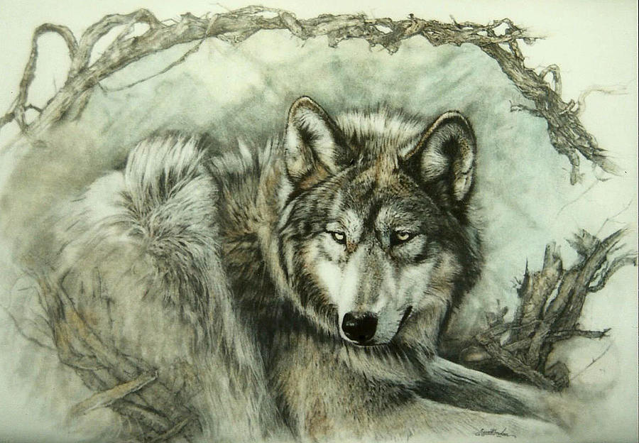 Wolves Painting - She Wolf  by Susie Gordon