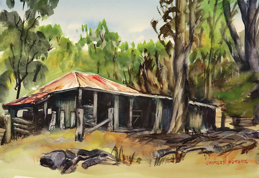Shearing Shed Painting by Shirley Peters