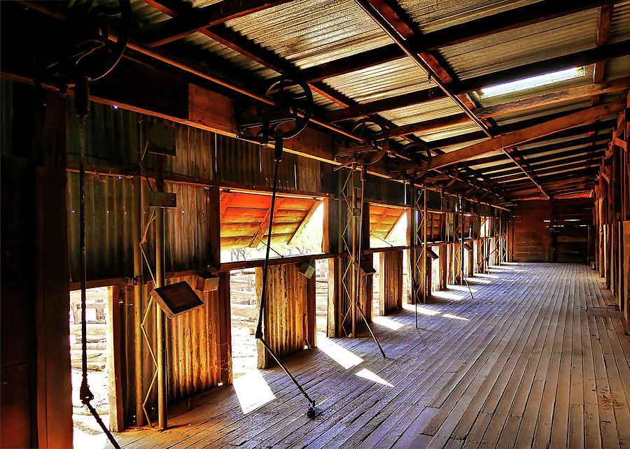 Shearing Station - Kinchega Woolshed Photograph by Lexa Harpell
