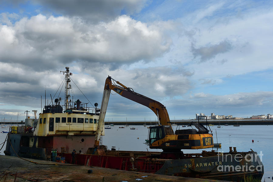 Shearwater Granton Harbour Photograph by Yvonne Johnstone