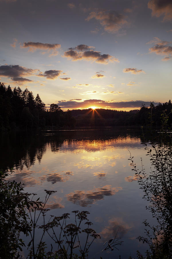 Shearwater lake, Wiltshire at sunset Photograph by Victoria Ashman