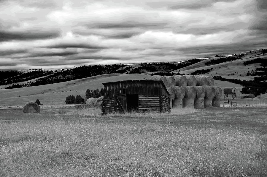 Shed And Bales In Black And White Photograph
