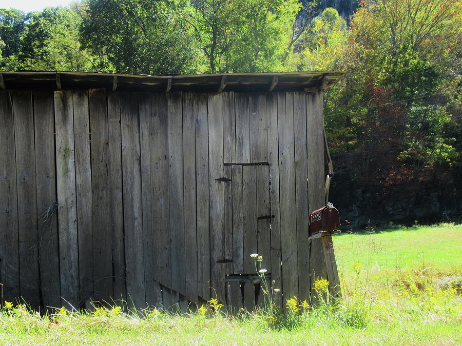 Shed And Wildflowers Photograph