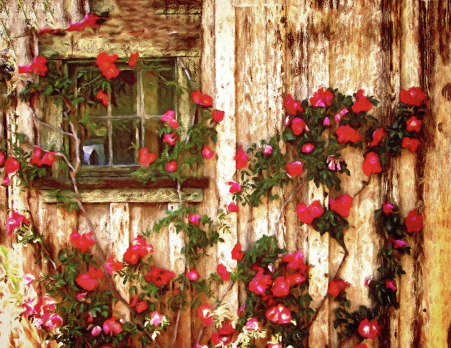 Shed with Red Climbing Rose Painting by Susan Maxwell Schmidt