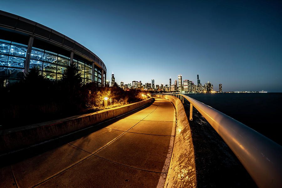 Shedd Aquarium and Chicago Skyline Photograph by Sven Brogren