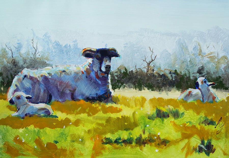 Sheep and lambs lying down painting Painting by Mike Jory